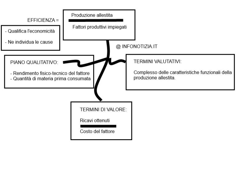 Efficacia ed efficienza in economia aziendale differenza