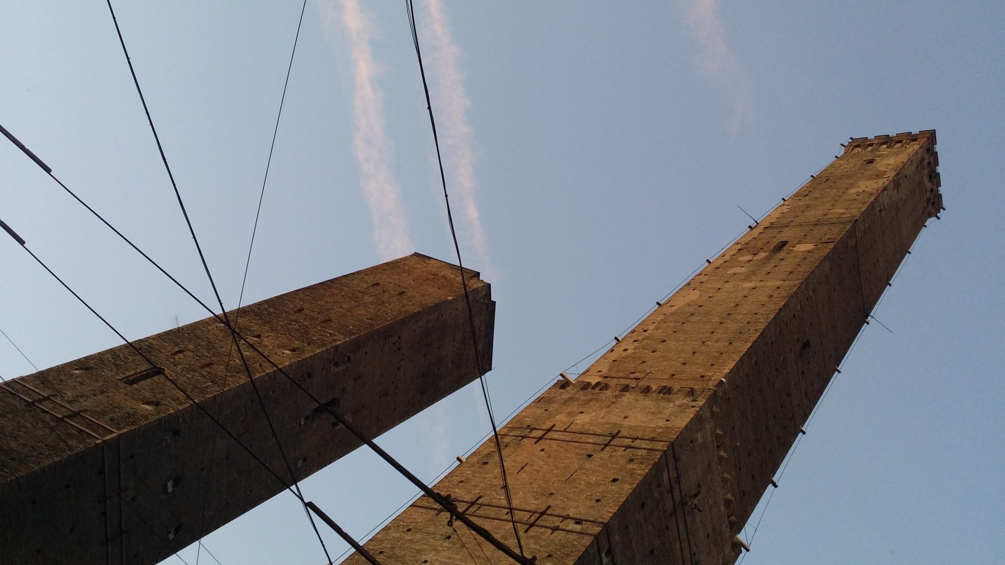 La ricostruzione di Diplodocus nel museo Geologico Capellini (Bologna)