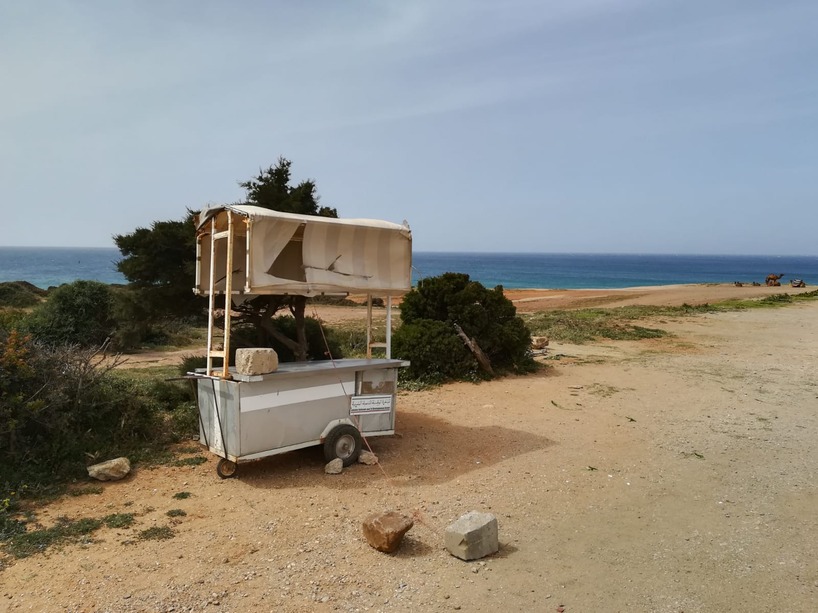Libertà mare